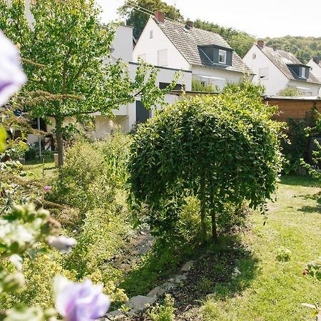 Ferienwohnung Am Breyer Talbach Zewnętrze zdjęcie