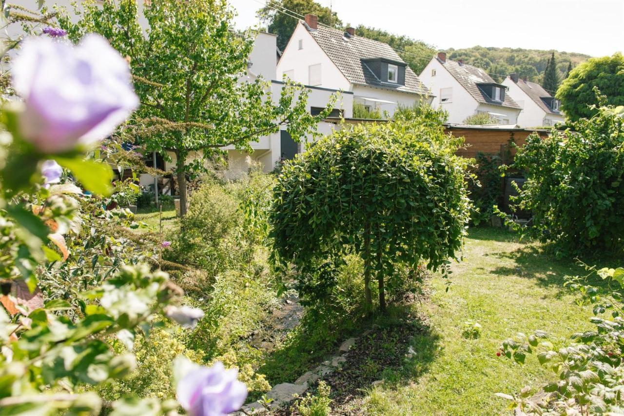 Ferienwohnung Am Breyer Talbach Zewnętrze zdjęcie